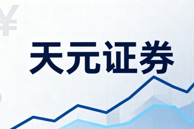 资本市场的隐秘力量:配资平台的发展与变化